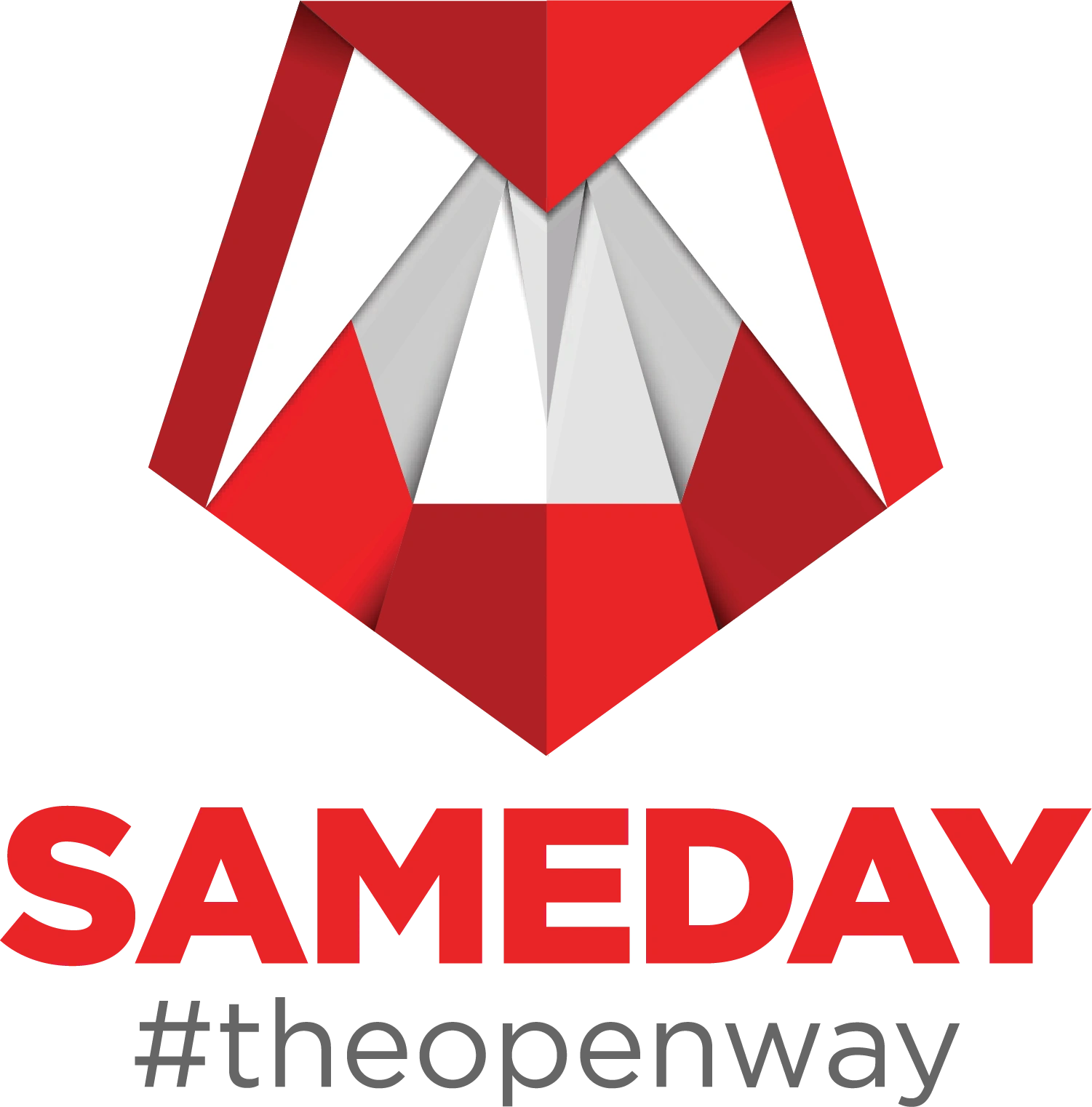 Sameday Logo